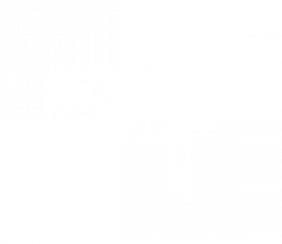 Cows