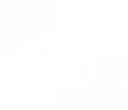 Rabits
