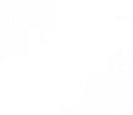 Turkeys